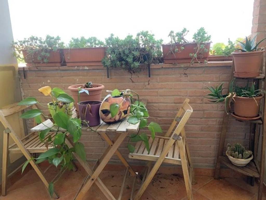 casa indipendente in vendita a Vezzano sul Crostolo in zona Villa