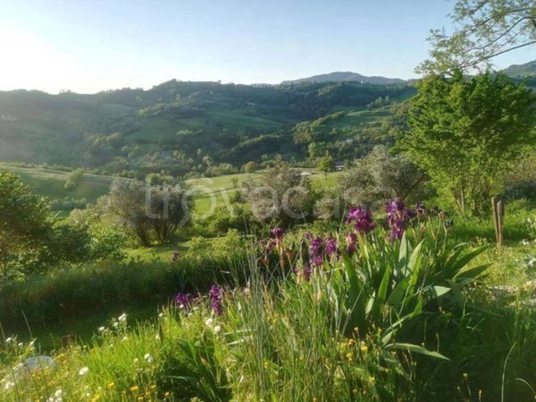casa indipendente in vendita a Vezzano sul Crostolo