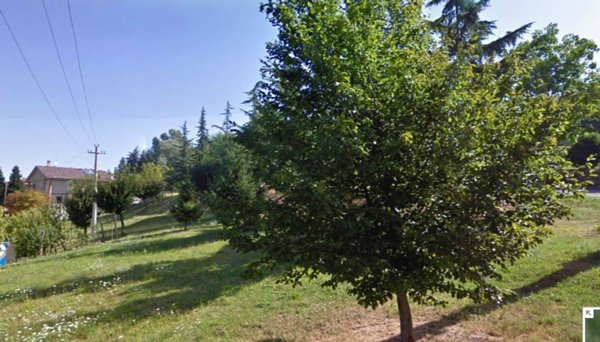 negozio in vendita a Vezzano sul Crostolo in zona La Vecchia