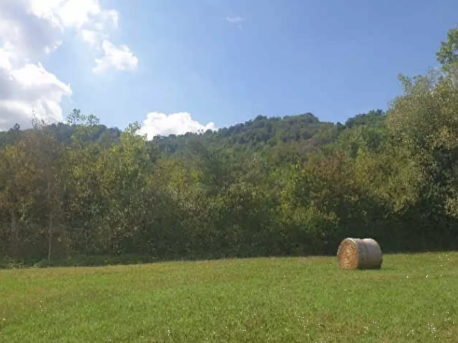 terreno agricolo in vendita a Vezzano sul Crostolo