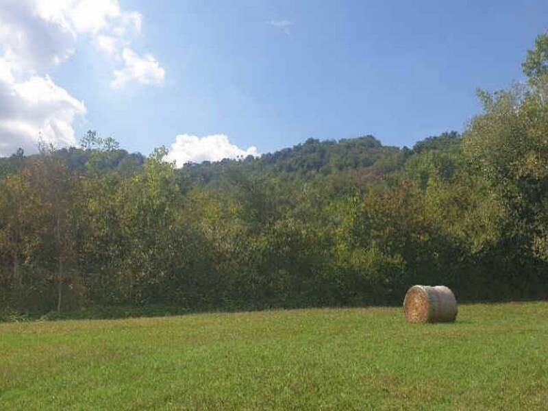 terreno agricolo in vendita a Vezzano sul Crostolo