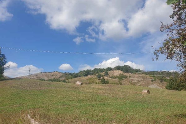 terreno agricolo in vendita a Vezzano sul Crostolo