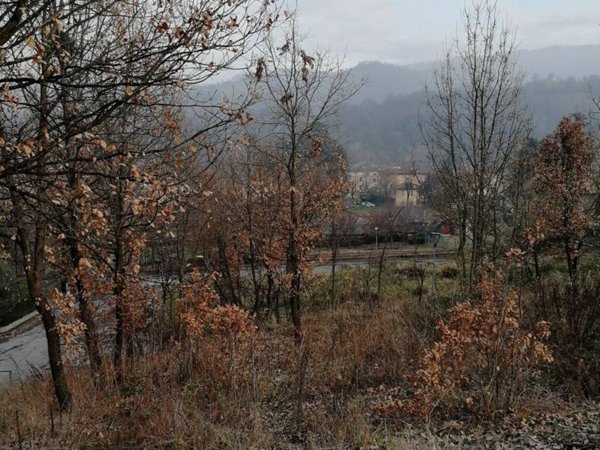 casa indipendente in vendita a Vezzano sul Crostolo