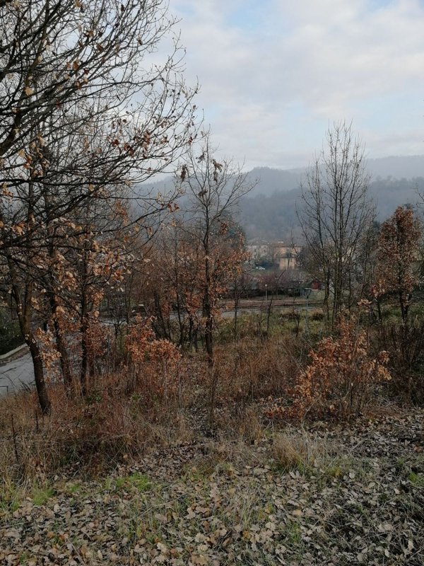 casa indipendente in vendita a Vezzano sul Crostolo