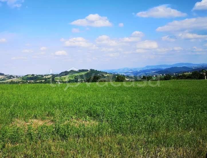 terreno agricolo in vendita a Viano
