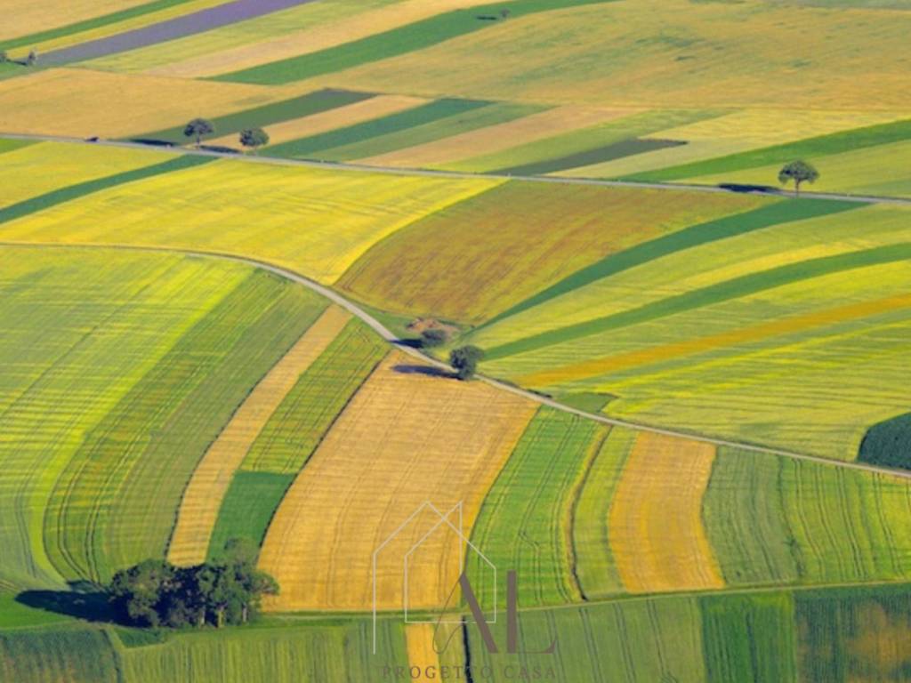 terreno agricolo in vendita a Viano