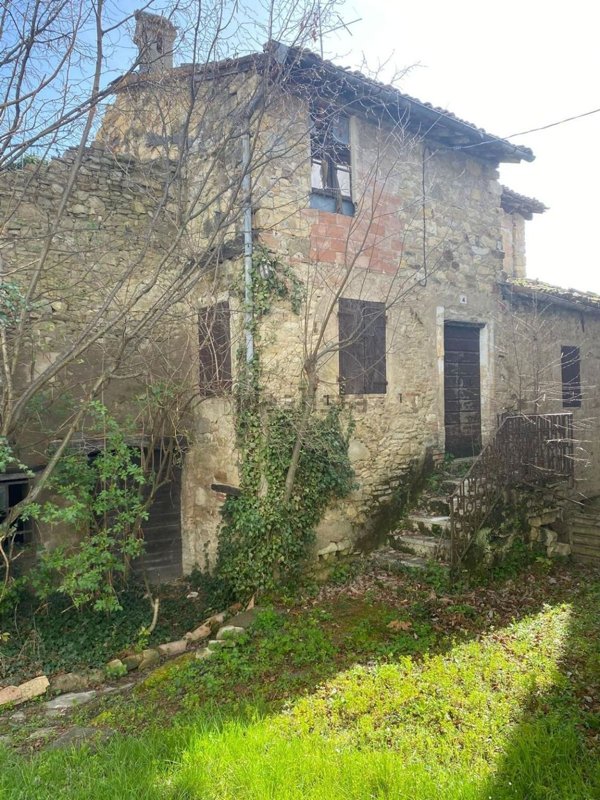 pentavano in vendita a Viano in zona Regnano