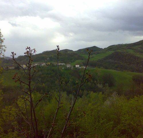 casa indipendente in vendita a Viano in zona Regnano