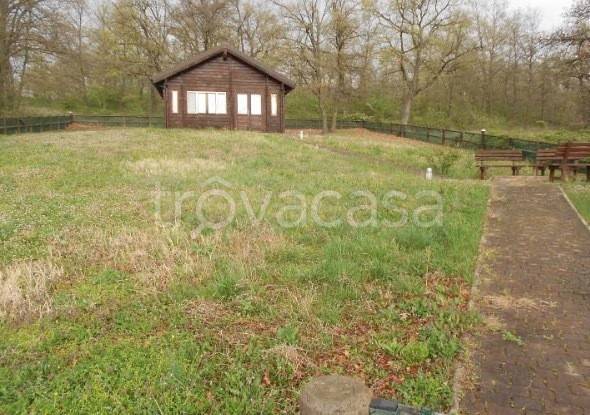 immagine annuncio 0 di 7