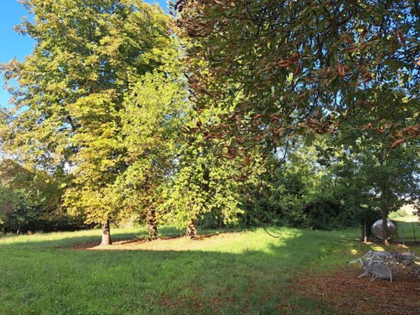 casa indipendente in vendita a Viano