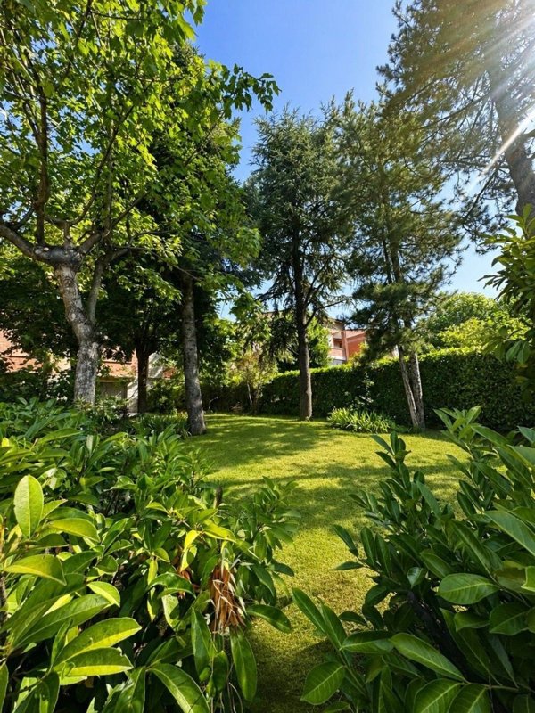 casa indipendente in vendita a Viano