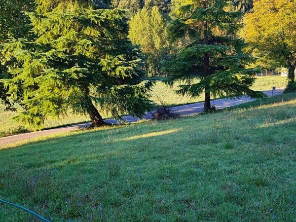 casa indipendente in vendita a Viano in zona Mamorra