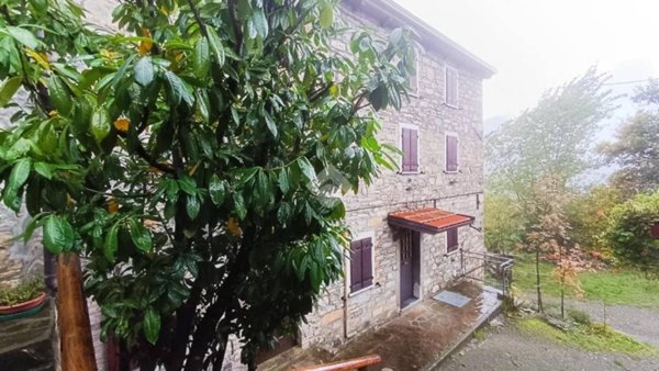immagine annuncio 0 di 15