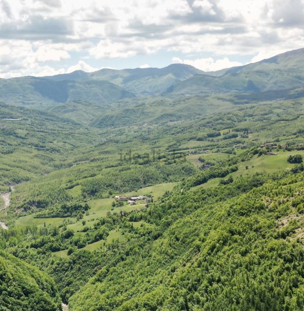 casa indipendente in vendita a Villa Minozzo