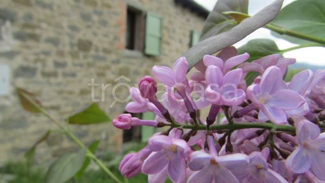 casa indipendente in vendita a Villa Minozzo in zona Gova