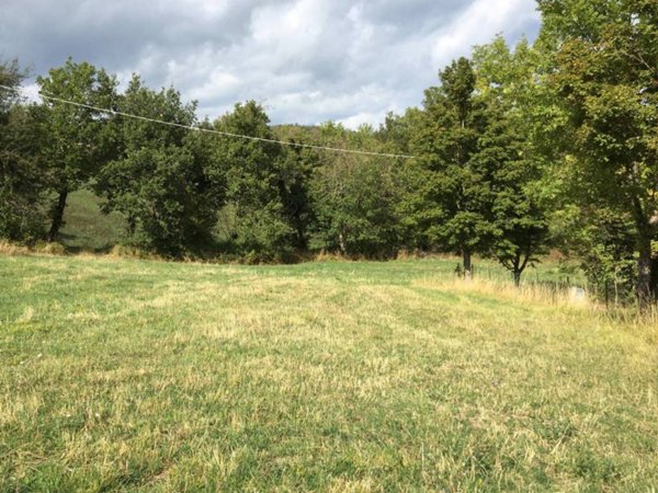 terreno agricolo in vendita a Villa Minozzo