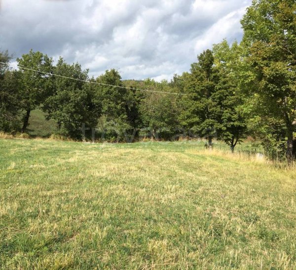 terreno agricolo in vendita a Villa Minozzo