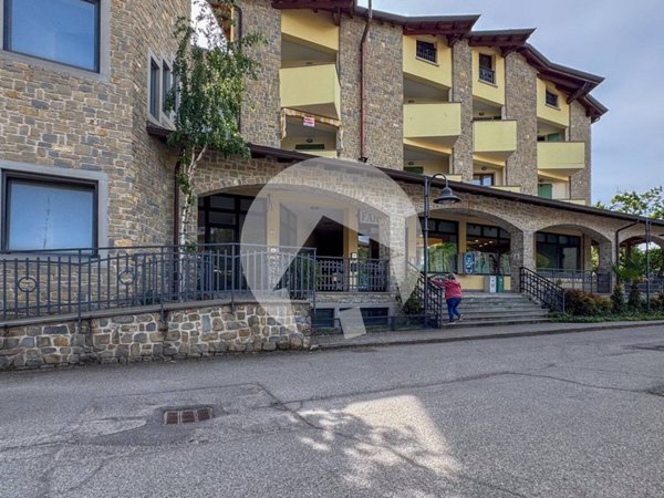 casa indipendente in vendita a Villa Minozzo