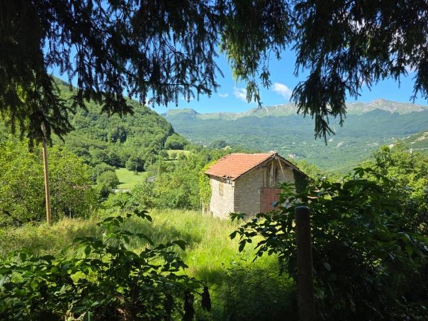 casa indipendente in vendita a Villa Minozzo in zona Gova