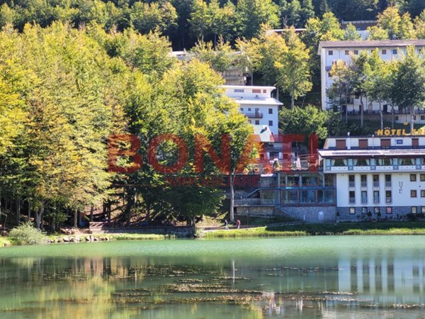 appartamento in vendita a Ventasso in zona Cerreto Laghi