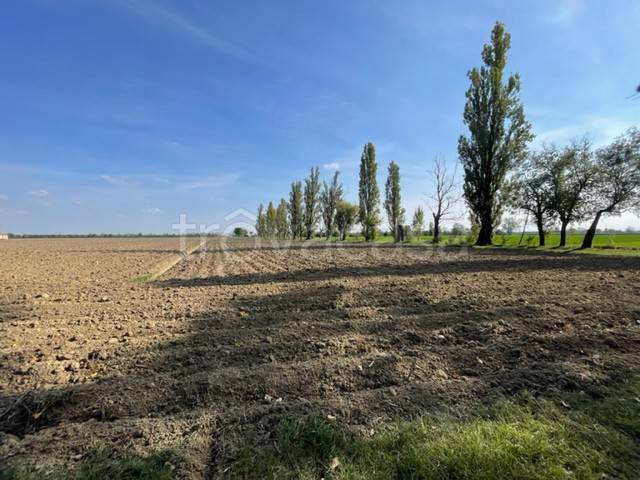 terreno agricolo in vendita a Bastiglia