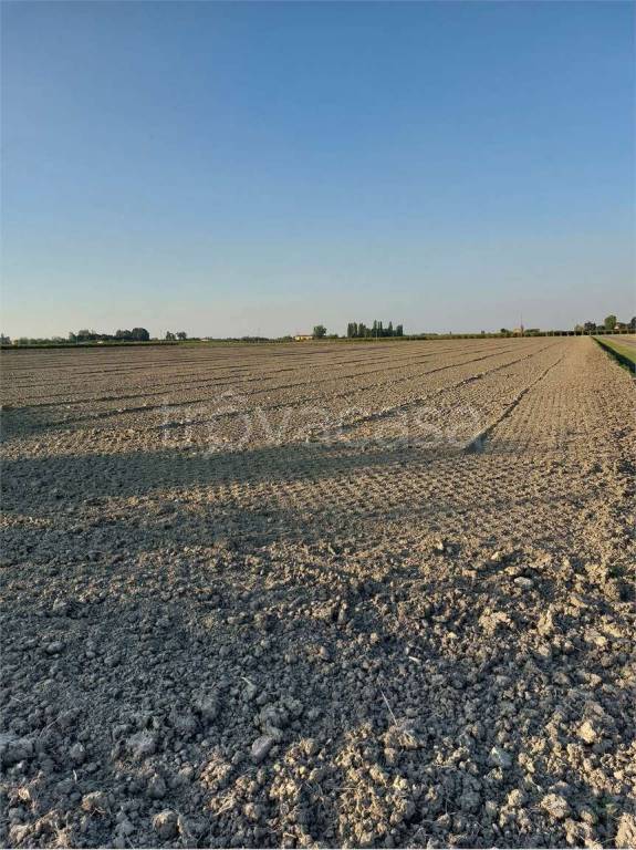 terreno agricolo in vendita a Bomporto