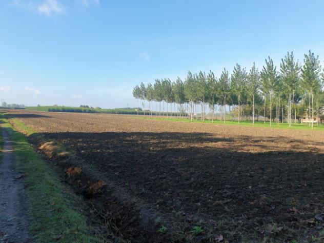 terreno agricolo in vendita a Bomporto