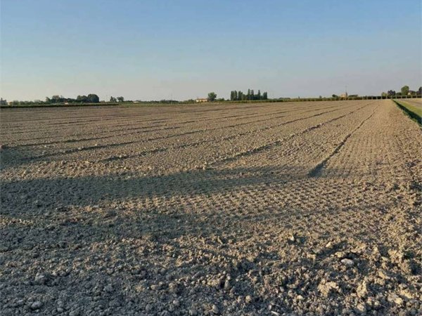 terreno agricolo in vendita a Bomporto