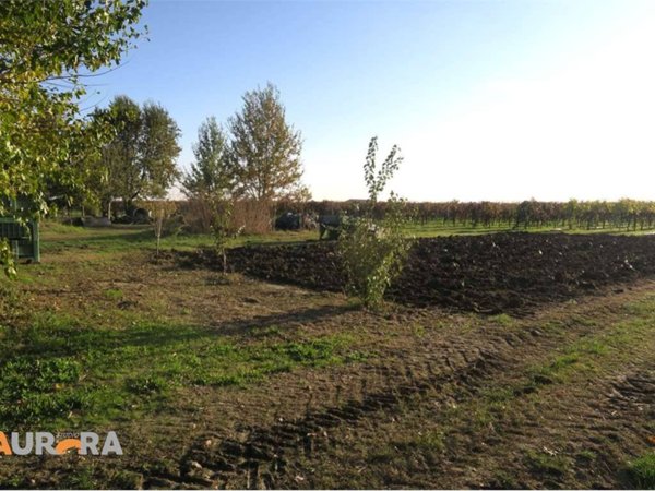 casa semindipendente in vendita a Bomporto