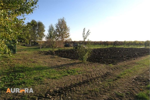 casa semindipendente in vendita a Bomporto