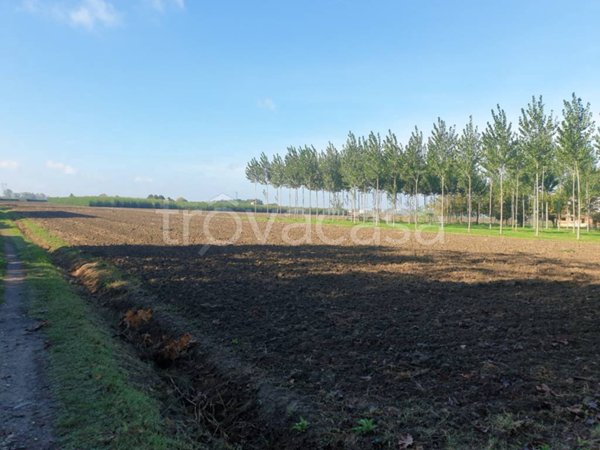 terreno agricolo in vendita a Bomporto in zona Solara