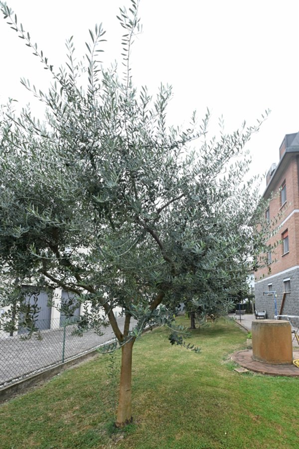 appartamento in vendita a Campogalliano