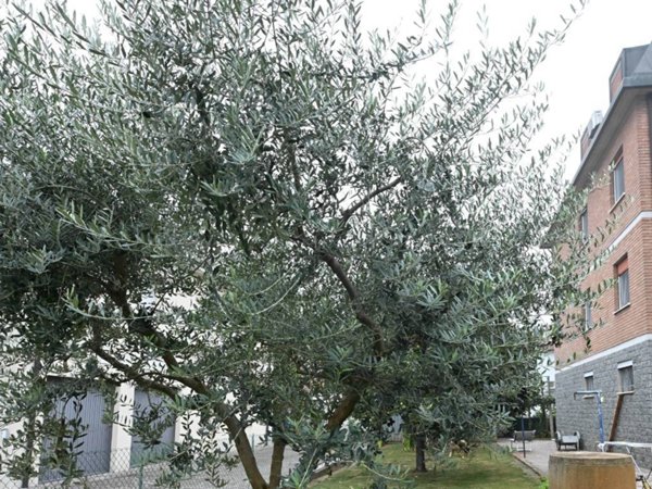 appartamento in vendita a Campogalliano