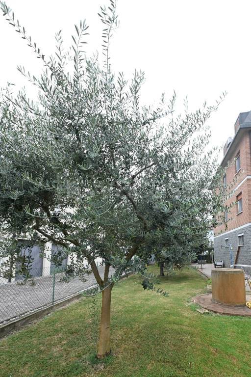 casa indipendente in vendita a Campogalliano