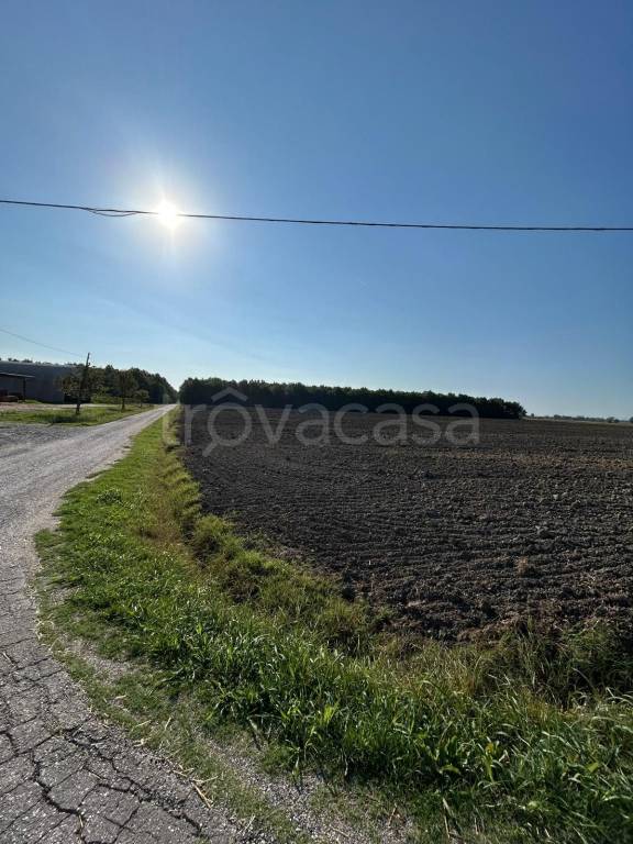 terreno agricolo in vendita a Camposanto
