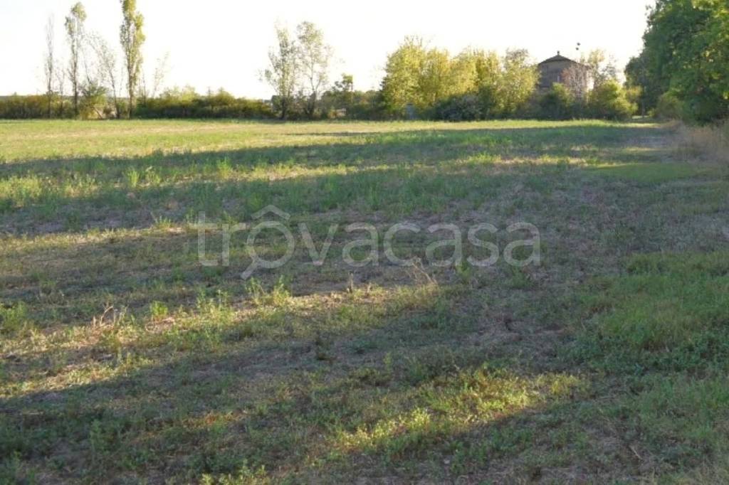 terreno agricolo in vendita a Camposanto