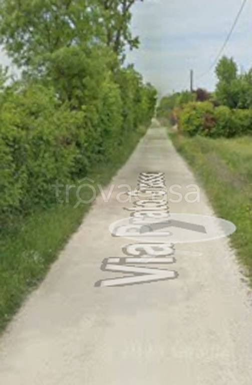 terreno agricolo in vendita a Camposanto