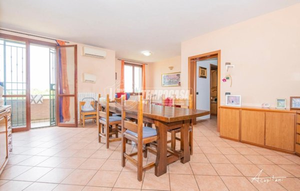 immagine annuncio 0 di 15