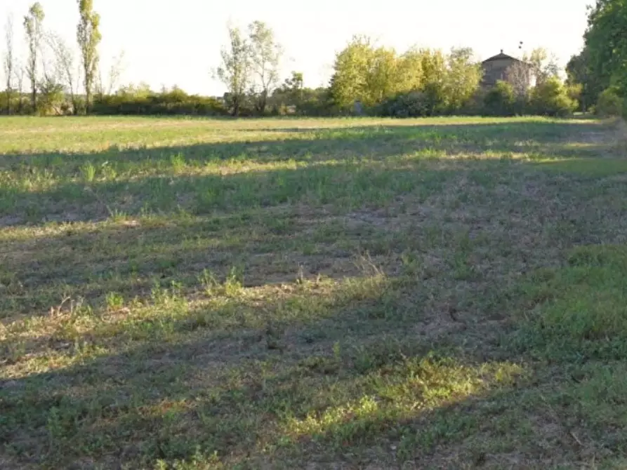 mansarda in vendita a Camposanto