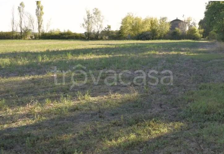 terreno agricolo in vendita a Camposanto