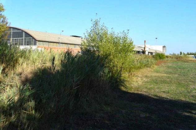 terreno agricolo in vendita a Camposanto