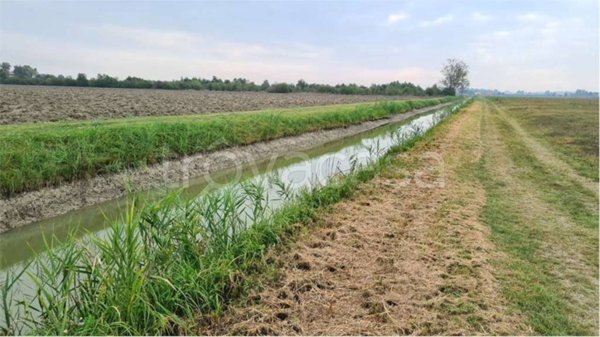 terreno agricolo in vendita a Carpi in zona Cortile