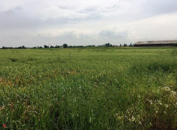 terreno agricolo in vendita a Carpi