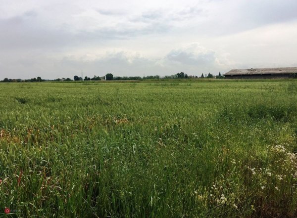 terreno agricolo in vendita a Carpi