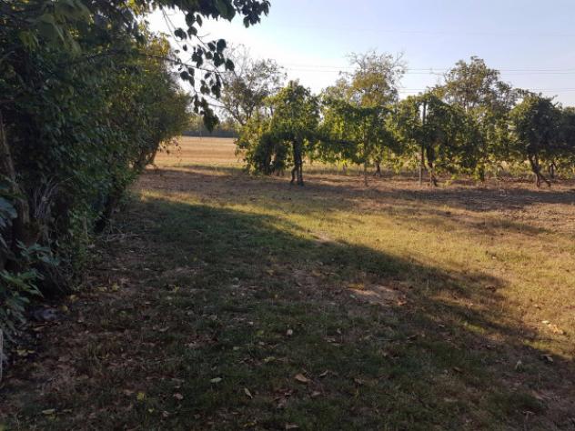negozio in vendita a Carpi
