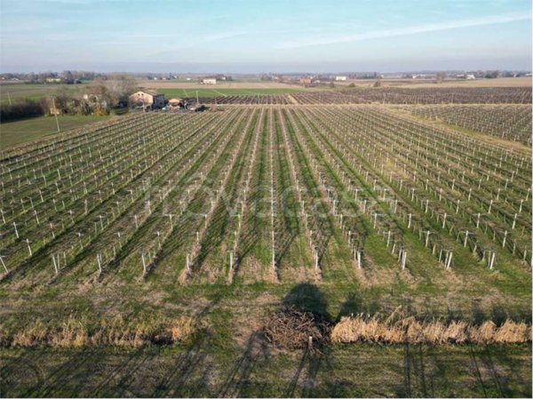 terreno agricolo in vendita a Carpi in zona Cortile