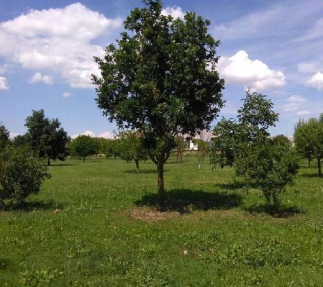 terreno edificabile in vendita a Carpi in zona Centro Storico