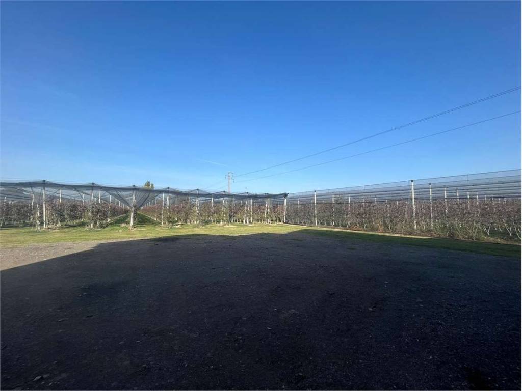 terreno agricolo in vendita a Carpi in zona Quartirolo