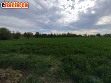 terreno agricolo in vendita a Carpi in zona Cortile