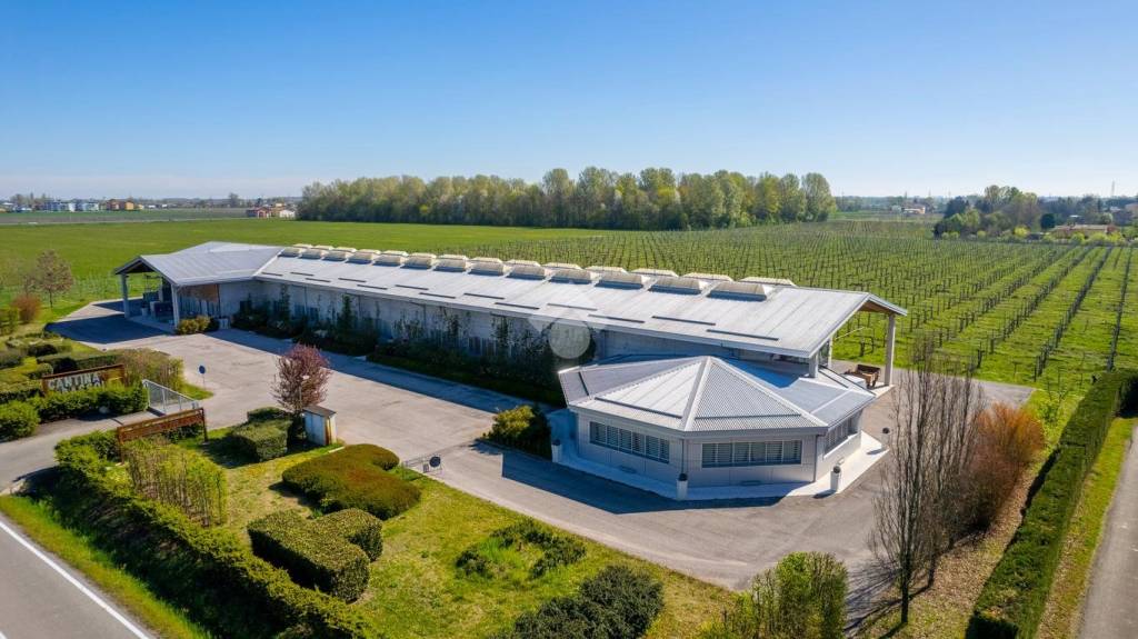 locale commerciale in vendita a Carpi